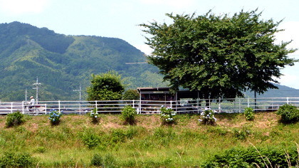 一本松地蔵(舞鶴市七日市)