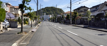 旗竿山