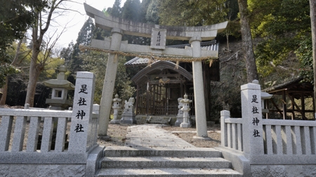 是社神社(下天津)