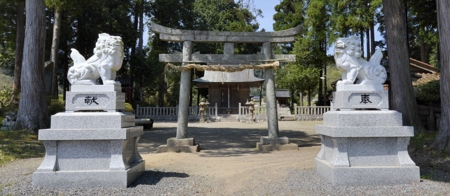 大河森神社(野花)