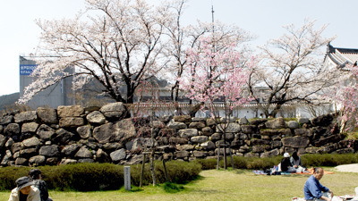 愛宕山:田辺城跡から