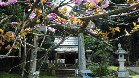 稲崎神社(石川)