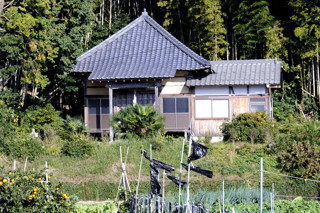 成願寺(宮津市小田宿野)
