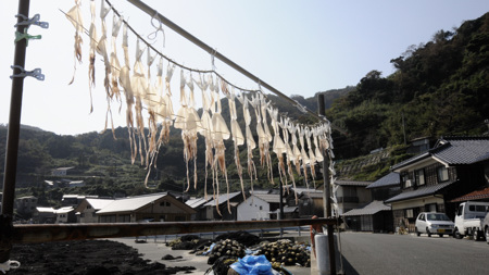 蒲入(伊根町)