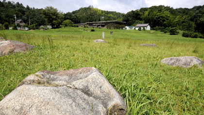 国分寺跡(宮津市国分)
