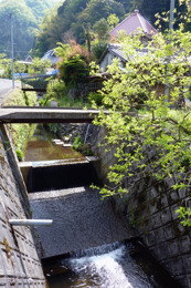 岸谷の観音堂