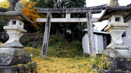 菊岡神社(善王寺)