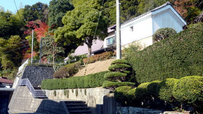 東林寺(舞鶴市上安)