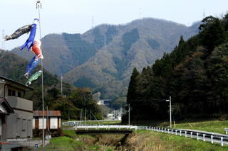 梯木林(手前携帯アンテナの山)背後は三国山