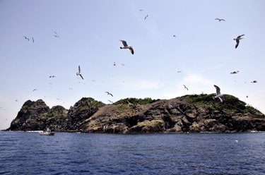 沓島(南側より)