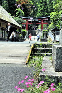 大川神社(舞鶴市大川)
