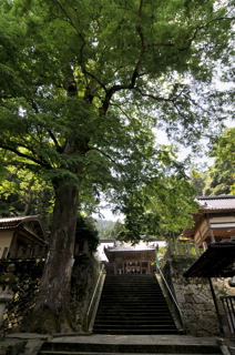大川神社