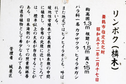 現地の案内板