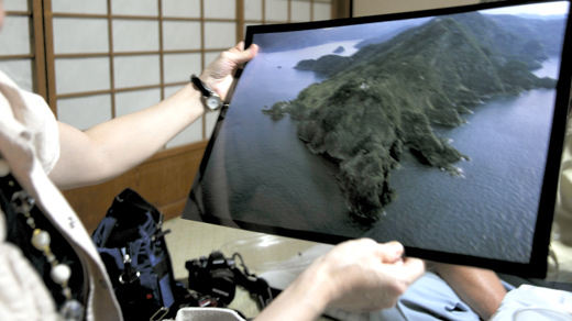 ヒミツの成生岬、ナゾのスダジイ:大浦半島東部