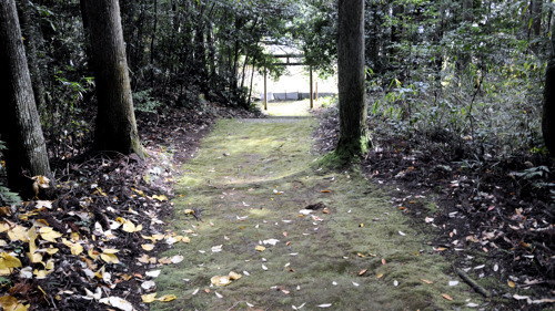 天王社の参道