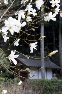 安寿姫塚はこの祠の中