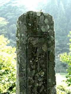 よほどに有名だったのか一本杉の碑が建てられている。昭和３４年の台風で倒れたという