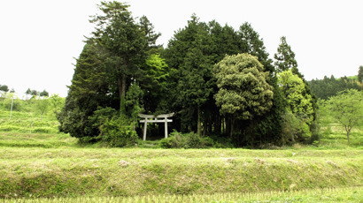 世屋姫神社(宮津市上世屋)