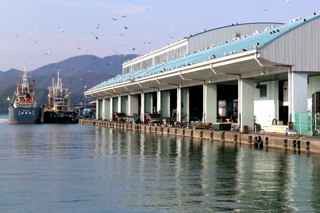 京漁連の埠頭