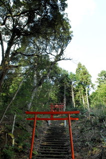 岩窪稲荷神社