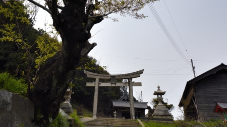 八幡神社(三津)