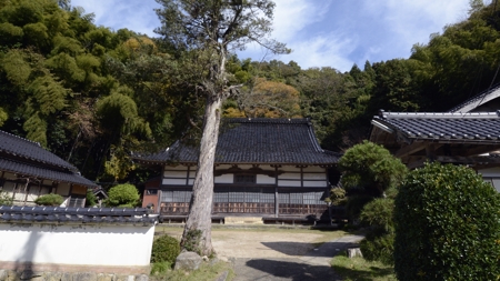 成願寺
