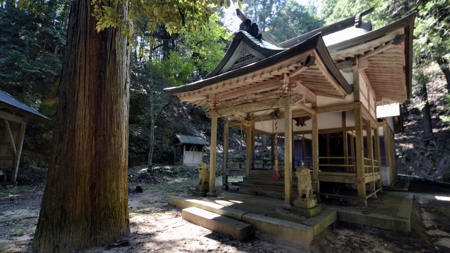 熊野若宮三神社(品田)