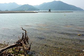 和田沖の乙礁