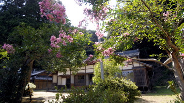 西徳寺(成生)