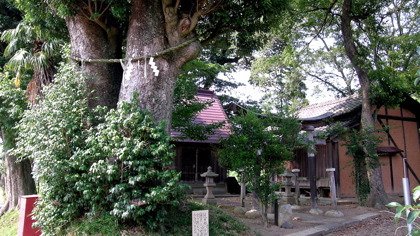 境神社(舞鶴市境谷)