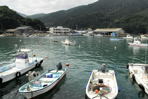 田井の漁港