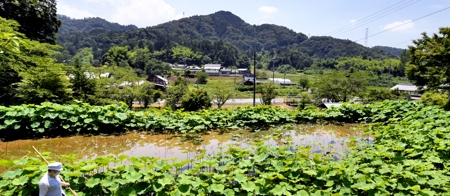 白道路(綾部市）