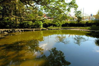 丸田の池（先は保育園。手前が神社）