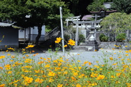 隣に日吉神社(寺の鎮守)