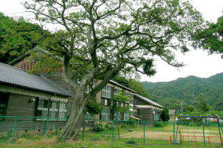 丸山小学校跡（市内では唯一木造だとか）